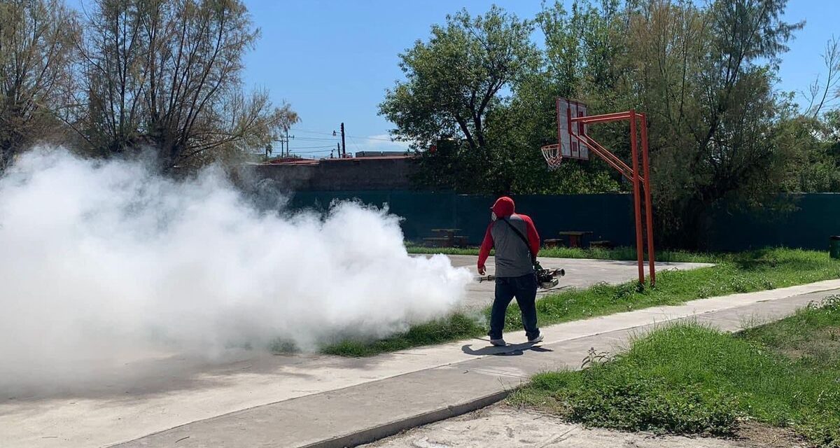 Se esperan casos de dengue en agosto y septiembre
