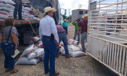 Gobierno del estado apoyará a productores con 140 toneladas de alimento para ganado
