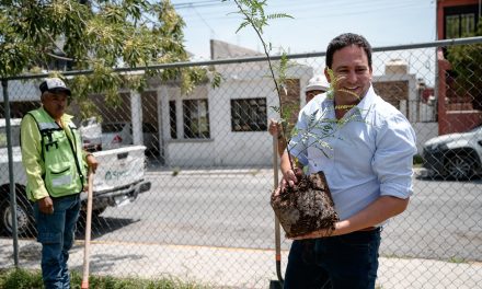 Avanzan las acciones de reforestación de espacios públicos de Saltillo 