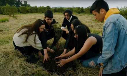 Convocan a universitarios al Concurso Sprint Climático