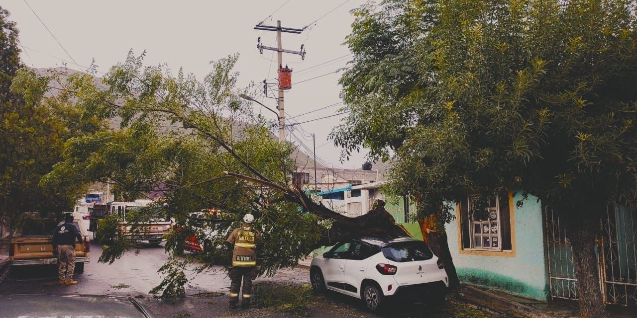 Atiende Gobierno de Saltillo afectaciones por lluvias