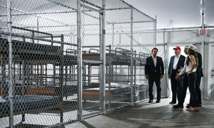‘Alligator Alcatraz’ cuenta con 81 mexicanos detenidos, confirma Claudia Sheinbaum