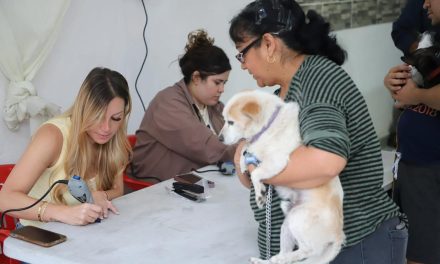 Saltillo: Amal Esper realiza campañas preventivas contra la rickettsia