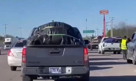 Casi 30 mil atenciones en el programa Bienvenido Paisano de verano en Coahuila