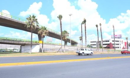 Embellecerán Distribuidor Vial Carranza con pinos juníperos