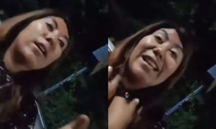 ‘Vengamos pedos o no, tenemos fueron’; así fue como una Senadora suplente de Morena intenta evitar revisión