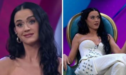 Fan mexicano se disculpa con Katy Perry por su participación en Venga la Alegría