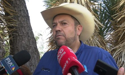 No me distraen las encuestas, dice Tomás Gutiérrez
