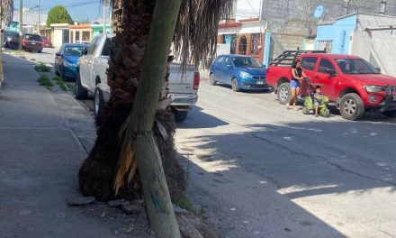 Temen vecinos que poste de madera colapse en la colonia San Vicente