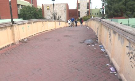 Reaparecen los ‘cochinones’ en puente peatonal de V. Carranza