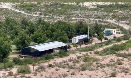 Reforesta General Cepeda con especies de árboles frutales