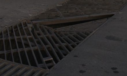 Rejillas en mal estado en bulevar Carranza