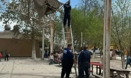 Entregarán techumbre en la primaria ‘Margarita Maza de Juárez’