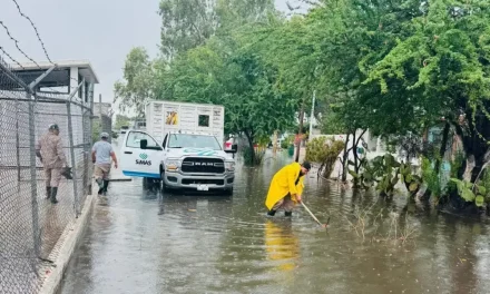 Lluvias dejan beneficios en la región Carbonífera