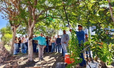 Avanza preparación del suelo por obra del Sistema Vial Independencia-Abastos