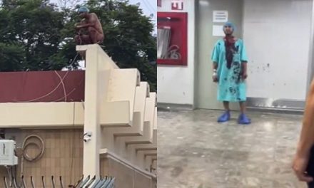 Atienden a paciente que presentó brote psicótico en el IMSS