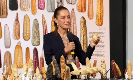 Claudia Sheinbaum presenta el programa ‘Sin Maíz no hay País’