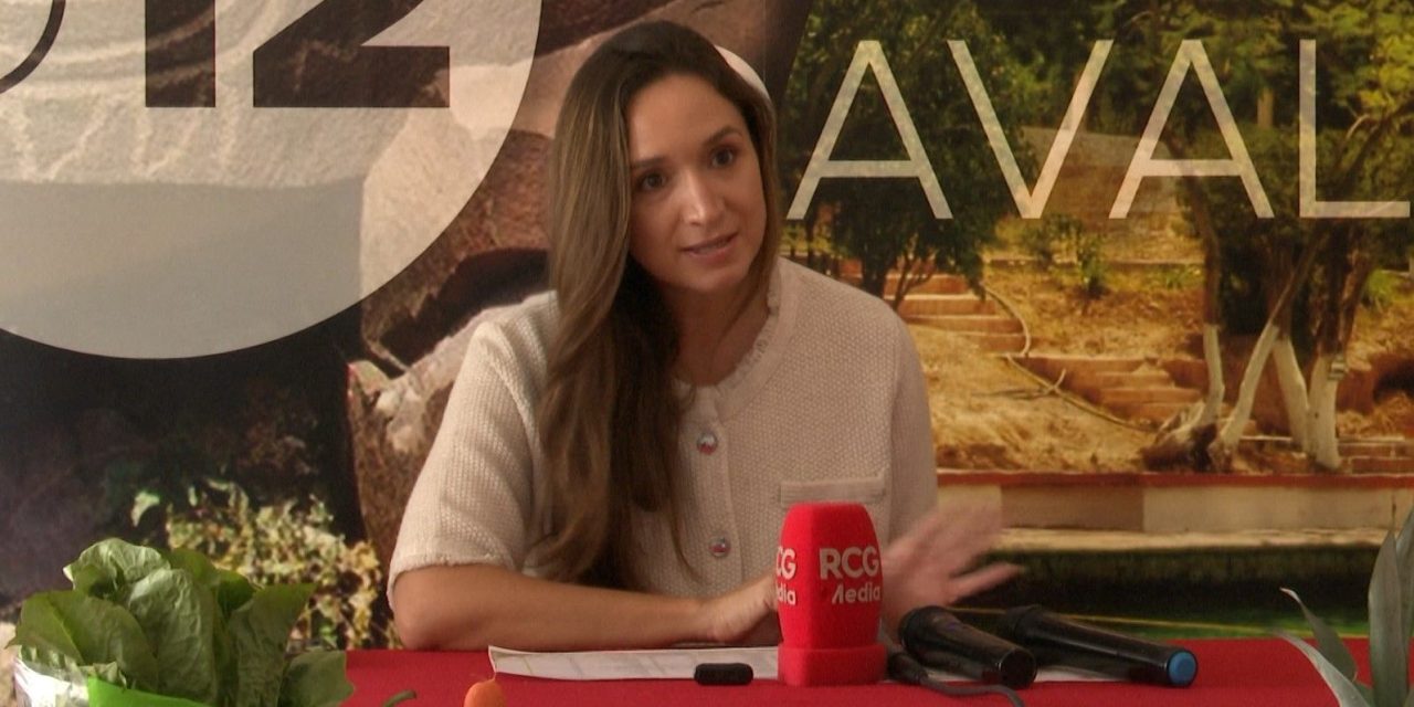 Anuncia diputada el Mercadito en tu colonia en Ramos Arizpe