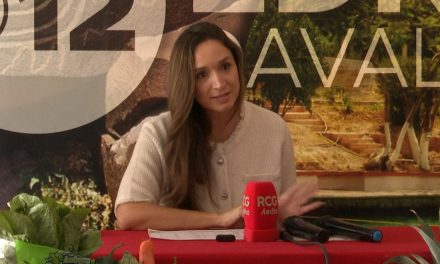 Anuncia diputada el Mercadito en tu colonia en Ramos Arizpe