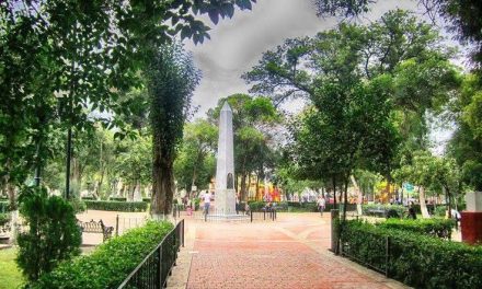 No se talarán árboles de la Alameda, asegura Medio Ambiente de Saltillo