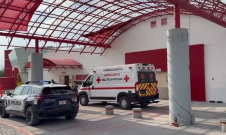 Ataca viuda negra a mujer en Saltillo