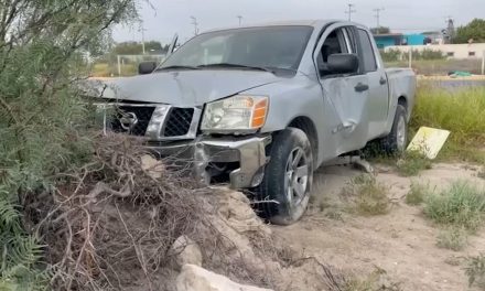 Conductor pierde el control de su unidad tras esquivar un perro y termina en un predio