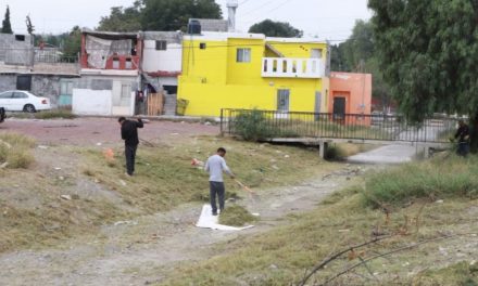 Cuadrillas limpian el arroyo La Tórtola