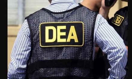 Golpe de la DEA al Cártel de Sinaloa deja más de 600 detenidos y millonarios decomisos