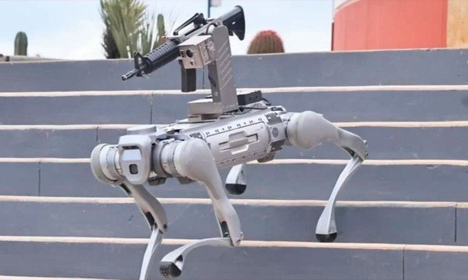 Perro robot llega a la policía de Zacatecas