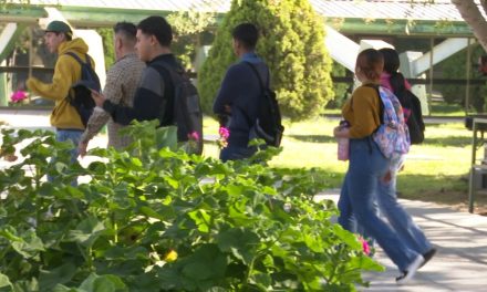 Lanza gobierno de Coahuila convocatoria ‘Muros libres de drogas’