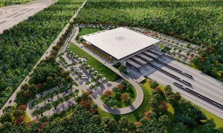 Terminal del Tren Maya en Cancún afectará selva y especies protegidas, advierten ambientalistas