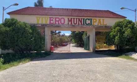 No desaparece el vivero municipal de Saltillo… por el contrario, se fortalece