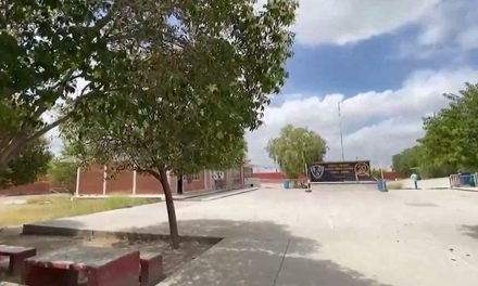 Saltillo: Escuela alberga maleza y panales, padres de familia temen alguna picadura.