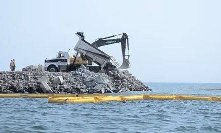 Ampliación del puerto de Veracruz avanza pese a riesgos ambientales y fallo de la Corte