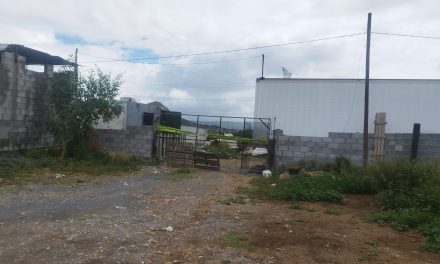 Clausuradas seis recicladoras en Ramos Arizpe