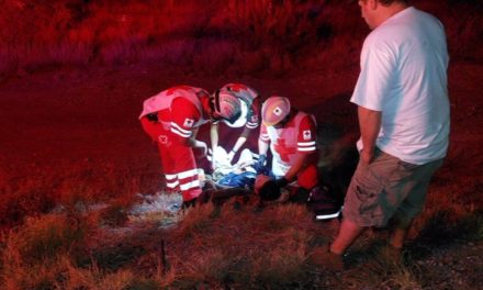 Chofer se salva de milagro tras volcadura de tráiler en Parras.