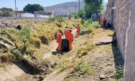 La Ola realiza limpieza preventiva en canales del poniente
