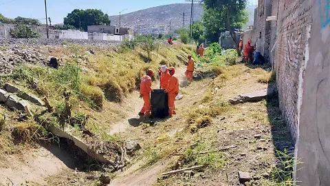 La Ola realiza limpieza preventiva en canales del poniente