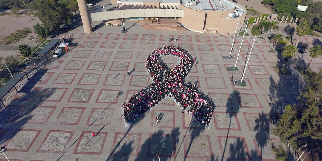 Forman lazo rosa en UAdeC Unidad Laguna