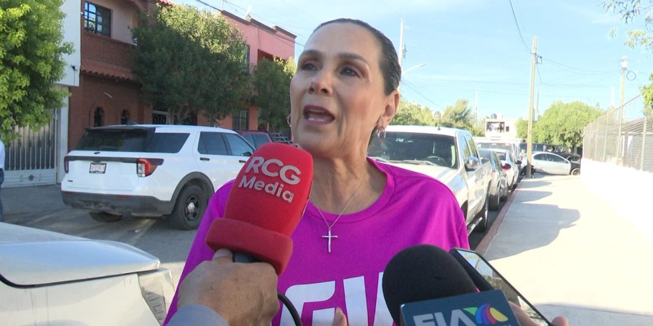 Anticipan habrá villas y pinos gigantes para la época decembrina en Saltillo