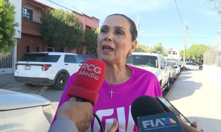 Anticipan habrá villas y pinos gigantes para la época decembrina en Saltillo
