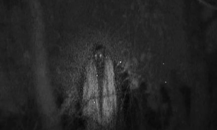 Captan en video a la aterradora bruja que se robaba a los niños en Edomex