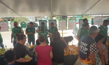Realizarán este viernes en Saltillo la edición 300 del Mercadito Mejora