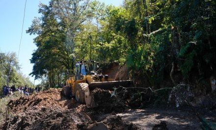 SEDENA despliega maquinaria pesada en cuatro estados para reabrir vías afectadas por lluvias