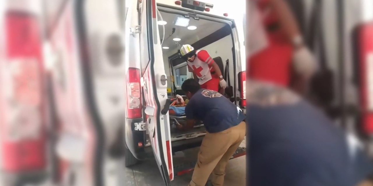 Dramática caída de venezolano en ‘La Bestia’ en Parras
