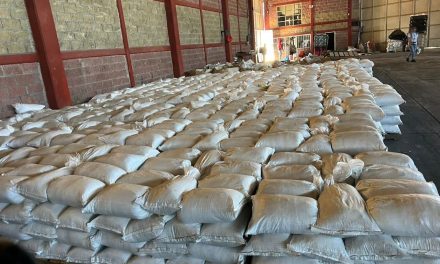 Tras cateos federales en Durango desmantelan laboratorios de drogas sintéticas