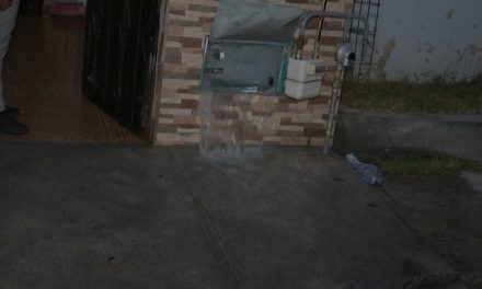 Fuerte fuga de agua no se atendía en Saltillo