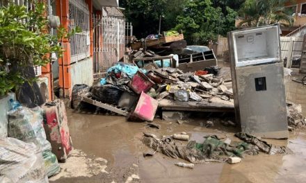 Japón envía ayuda a México tras inundaciones