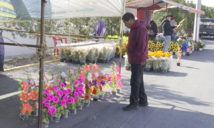 Más de 100 vendedores se instalarán en panteones de Ramos