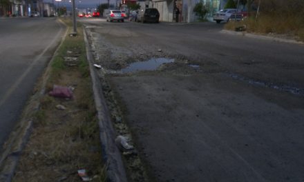 Poco transitable el bulevar Cedros por la gran cantidad de baches en Nuevo Mirasierra